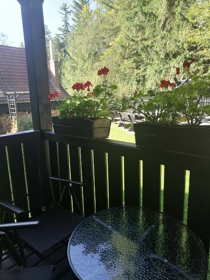 Willa Pod Lasem Szklarska Poręba Buitenkant foto
